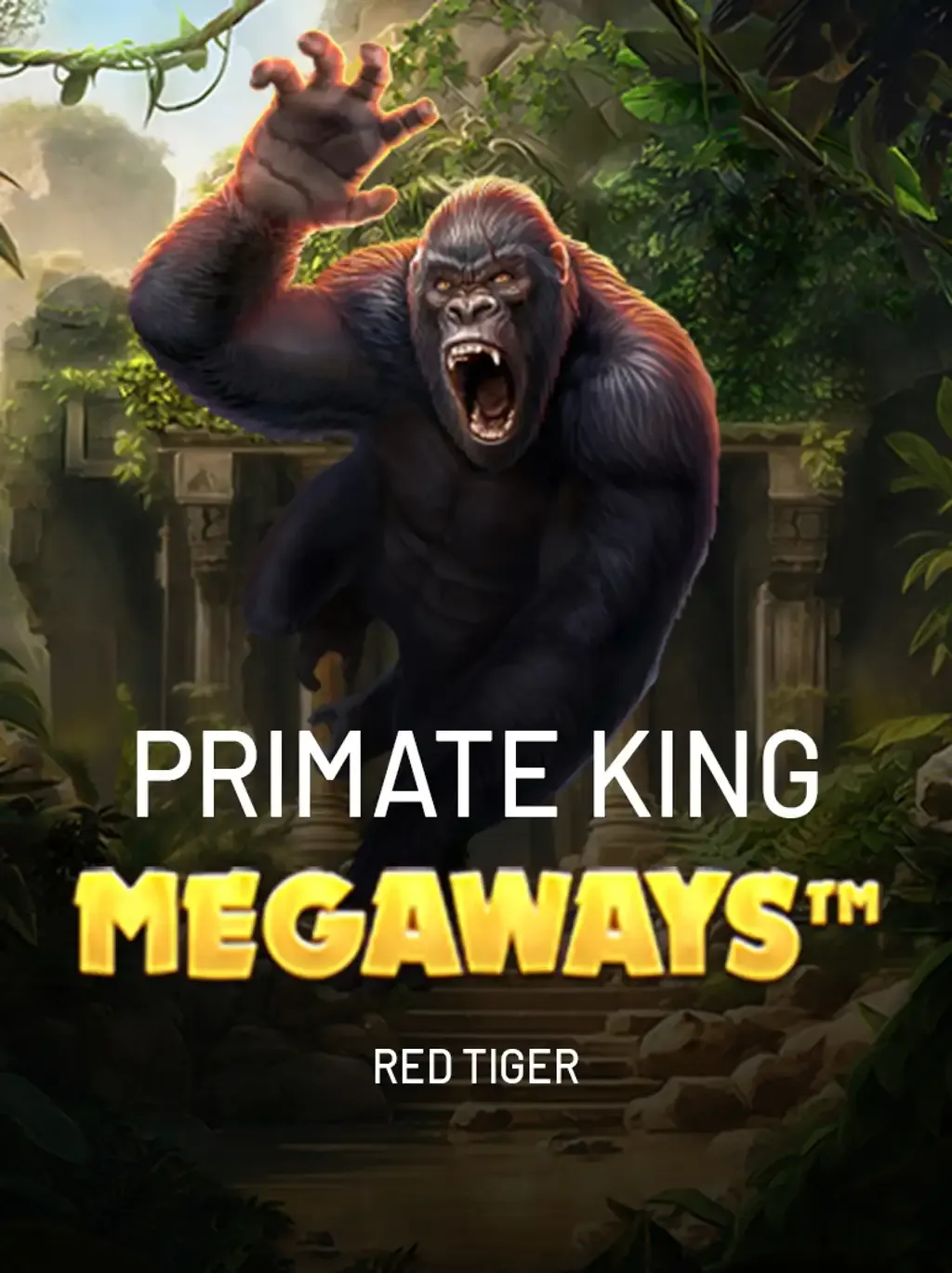 7nb - A Melhor Plataforma de Apostas e Cassino Brasil 2025 ⭐️